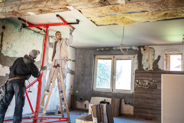 Best Blown-in Insulation  in Olney, IL