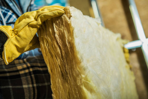 Best Spray Foam Insulation  in Olney, IL